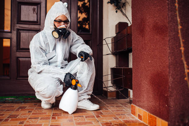 Reliable Termite Control contractor in Kemp Mill, MD by Nex Pest Control